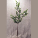 35" CEDAR SPRAY X3 W/FROST
