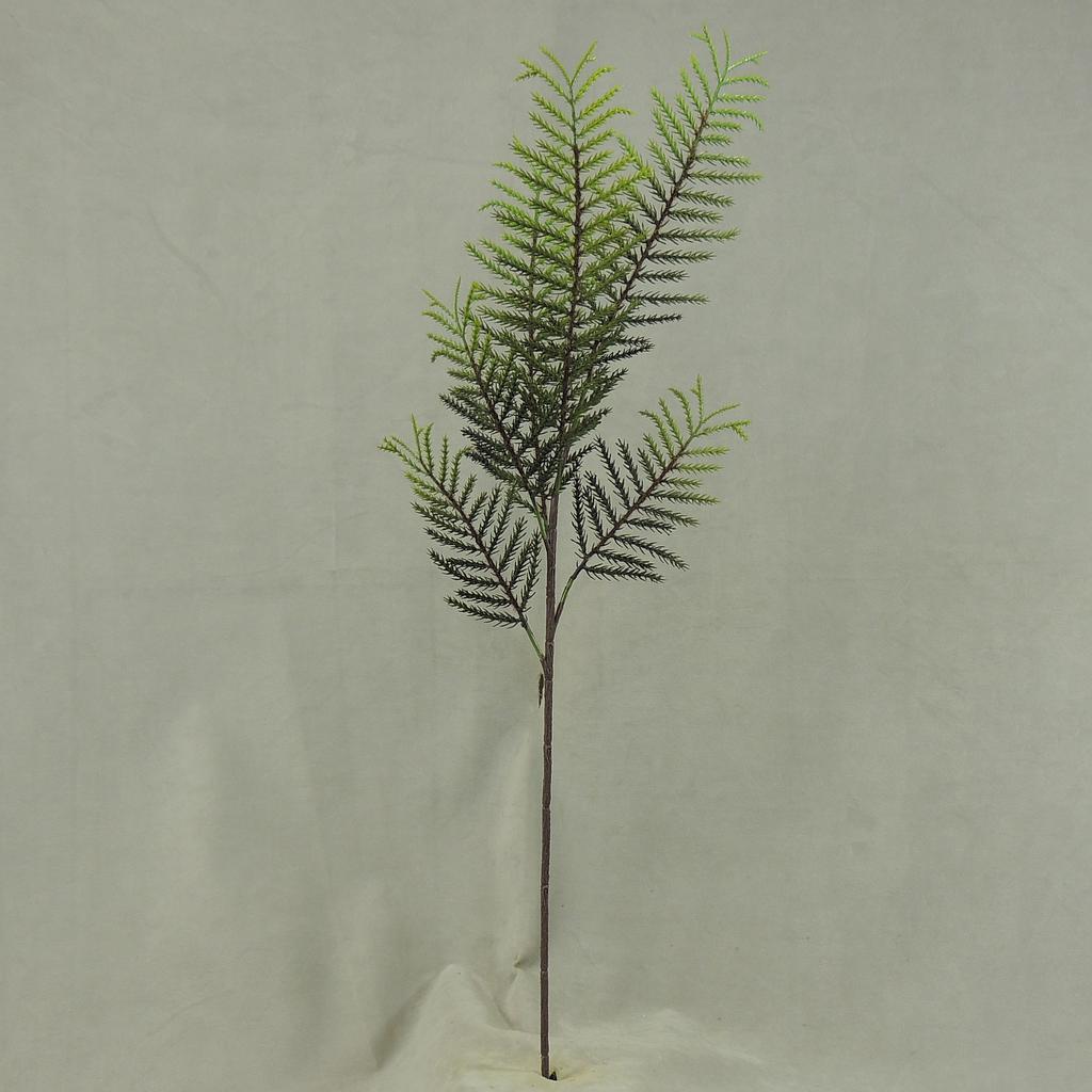 CYPRESS SPRAY X6