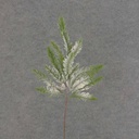 PLASTIC HEMLOCK SPRAY W/SNOW&CONE 20.5" (6/BAG) 
