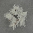 PINE WREATH 22" WHITE W/CONES