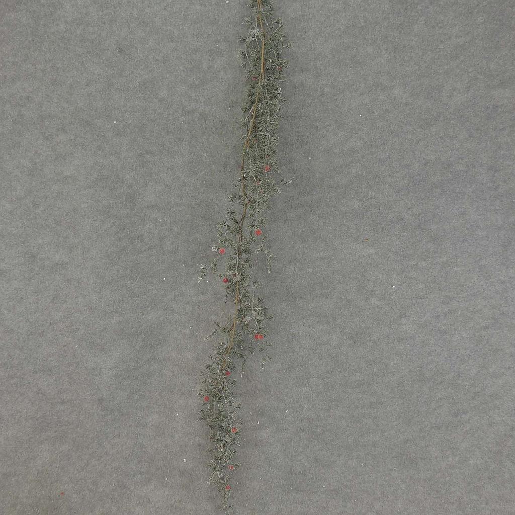 PINE GARLAND W/BERRIES 43"