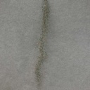 PINE GARLAND W/BERRIES 43"