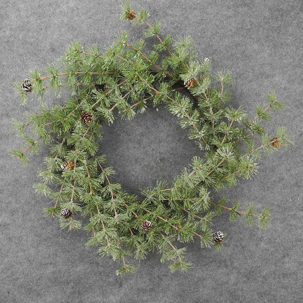 [XL8008] 24" WREATH MING PINE W/CONES