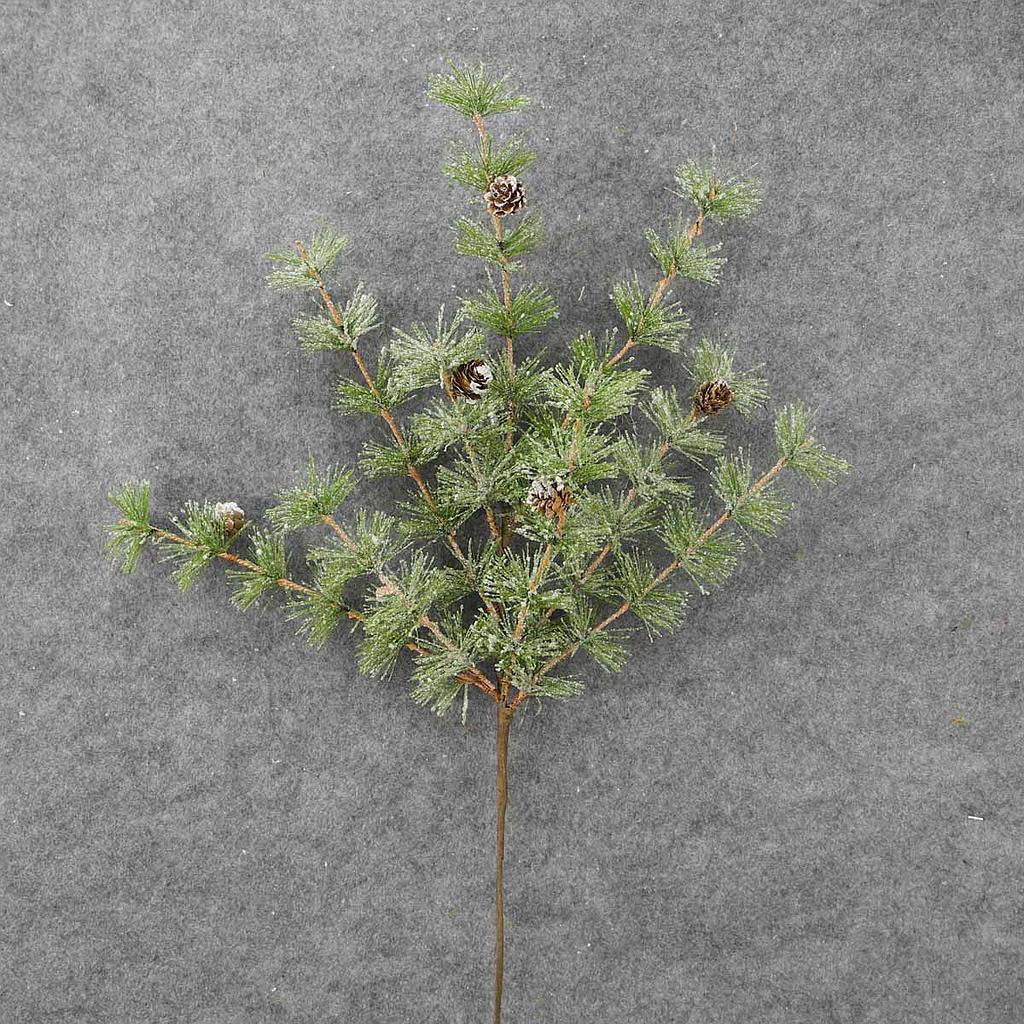 [XL8010] 24" PINE SPARY W/ CONES MING PINE