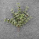 24" PINE SPARY W/ CONES MING PINE