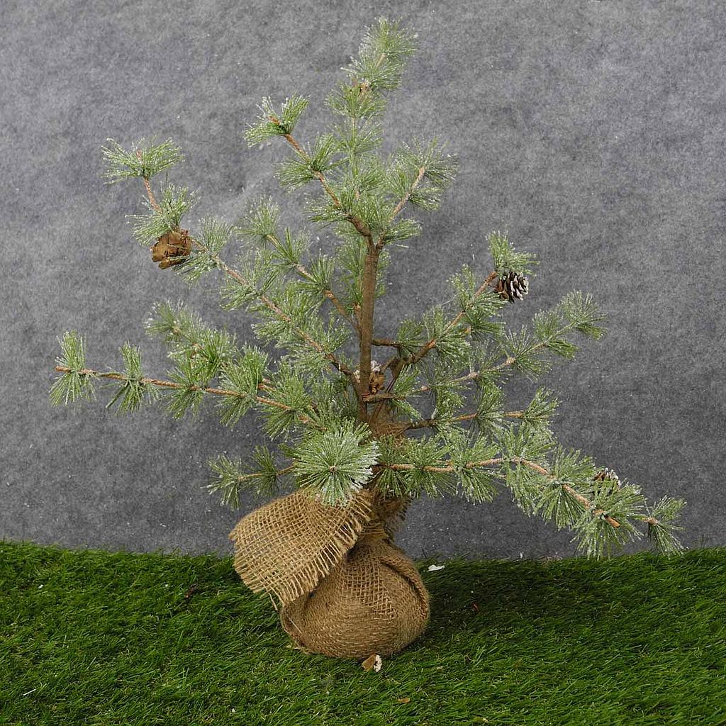 TREE MING PINE W/CONES 20" BURLAP BASE