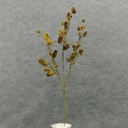 PINE CONE SPRAY 37"   GREEN