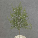 15" JUNIPER PICK W/BERRY
