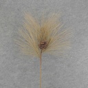 PINE SPRAY X3 31" BROWN