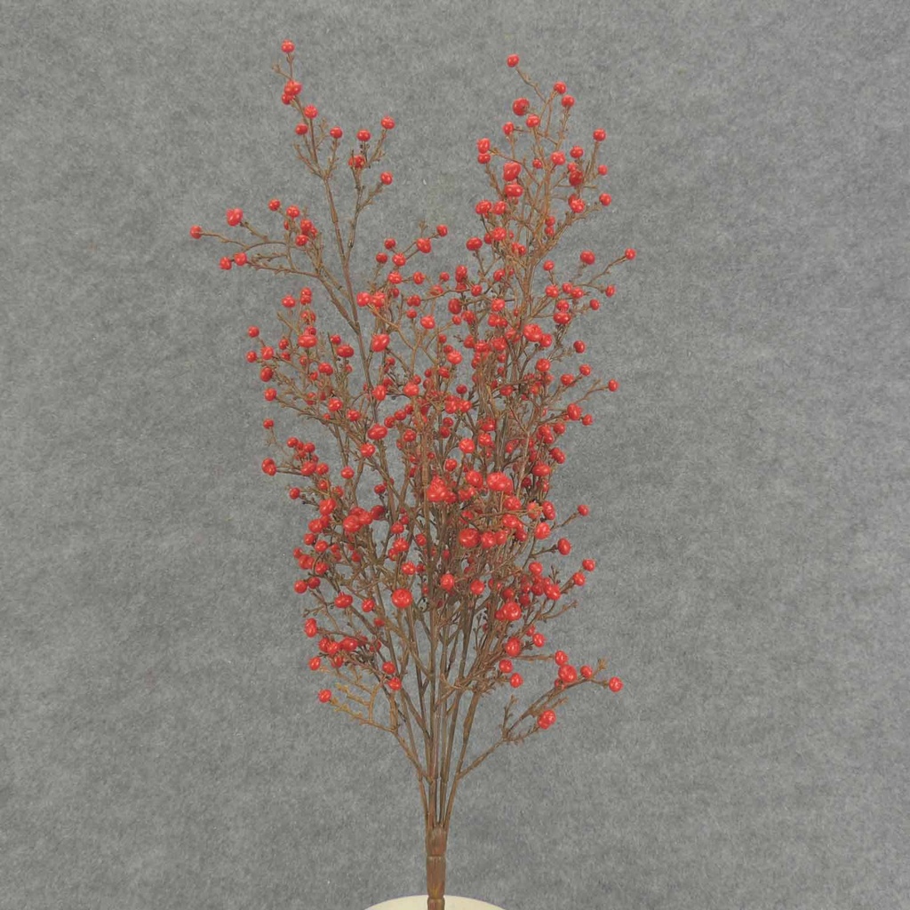 21" BERRY BUSH X7 O.D. RED