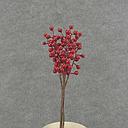 [XB6128] 11" BERRY BUNDLE RED