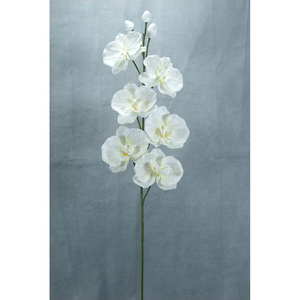 ORCHID SPRAY X6 32" GLITTER  WHITE