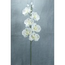 ORCHID SPRAY X6 32" GLITTER  WHITE