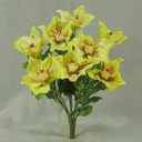 15.5" HELLEBORUS BUSH X9 FROST GREEN