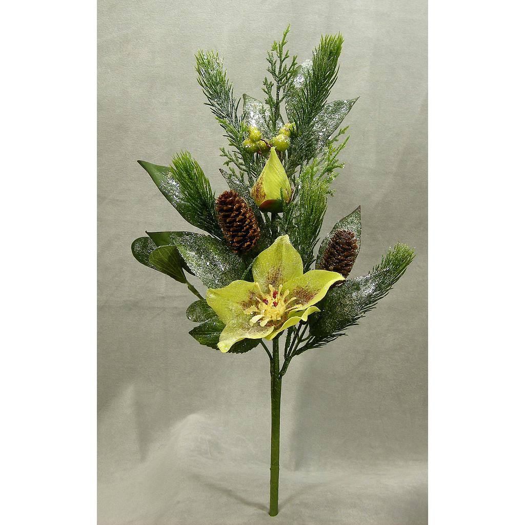 HELLEBORUS/CONE/PINE/BERRY/MIST 18" SPRAY GREEN