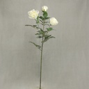 33" ROSE DIAMOND X3 HIGH PONGEE CREAM