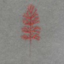 20" STAGHORN GLITTER SPRAY RED