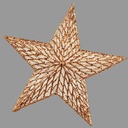STAR 12" GLITTER COPPER