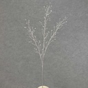 GEM SPRAY CLEAR W/GLIT 32.5"