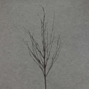 29" TWIG GLITTER BLACK