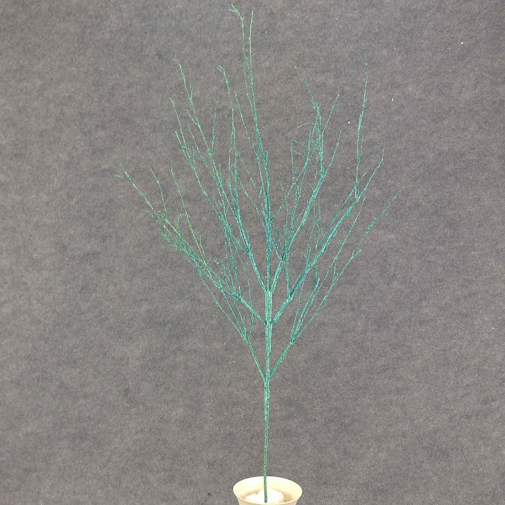 TWIG 29" GLITTER       BLUE