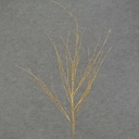 TWIG 29" GLITTER  GOLD