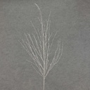 TWIG 29" GLITTER  SILVER