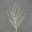 TWIG 29" GLITTER  WHITE