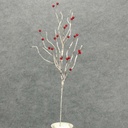 WILLOW BRANCHES 24" W/BERRIES  RED