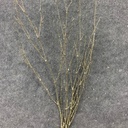 24" TWIG SPRAY W/GLITTER 4/BAG CHAMPAGNE