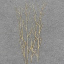 24" TWIG SPRAY W/GLITTER 4/BAG GOLD