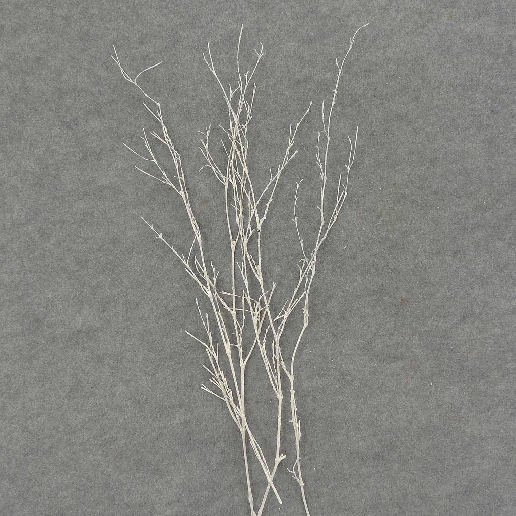 24" TWIG SPRAY W/GLITTER 4/BAG WHITE