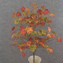 21" MINI MAPLE LEAF BUSH X6(12) RED/ORANGE/GREEN