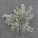 HEMLOCK BUSH X5  12&quot; FLOCKED