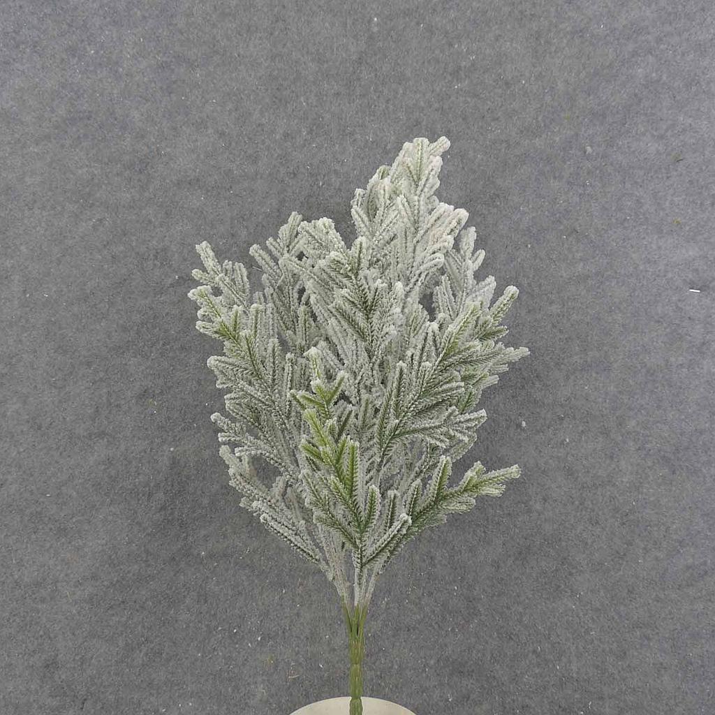 PISTOL PINE BUSH X6  21"