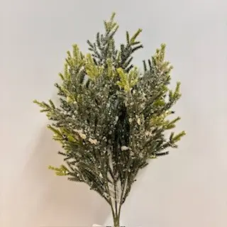 [XE9006] 20" PISTOL PINE BUSH X6 W/ICE