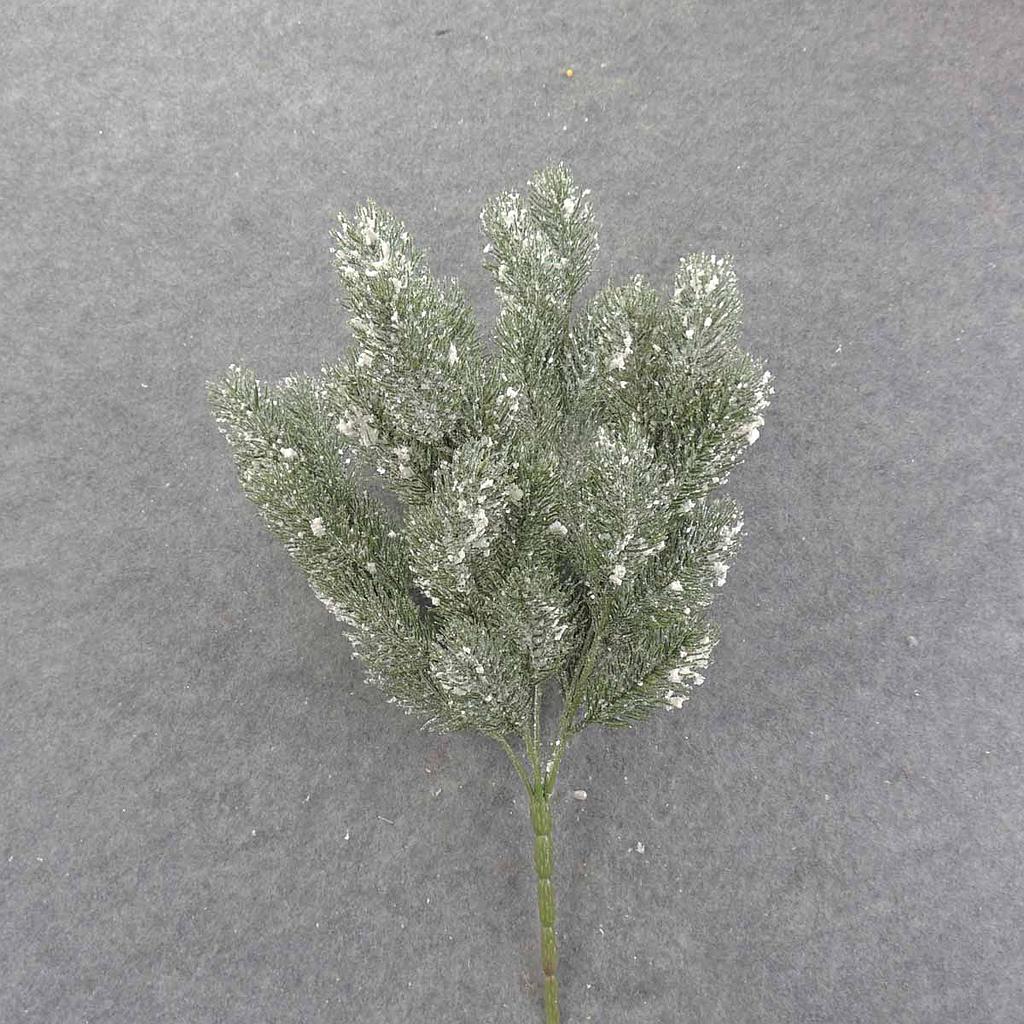 PISTOL PINE BUSH X6 20" W/ICE