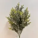 20" PISTOL PINE BUSH X6 W/ICE