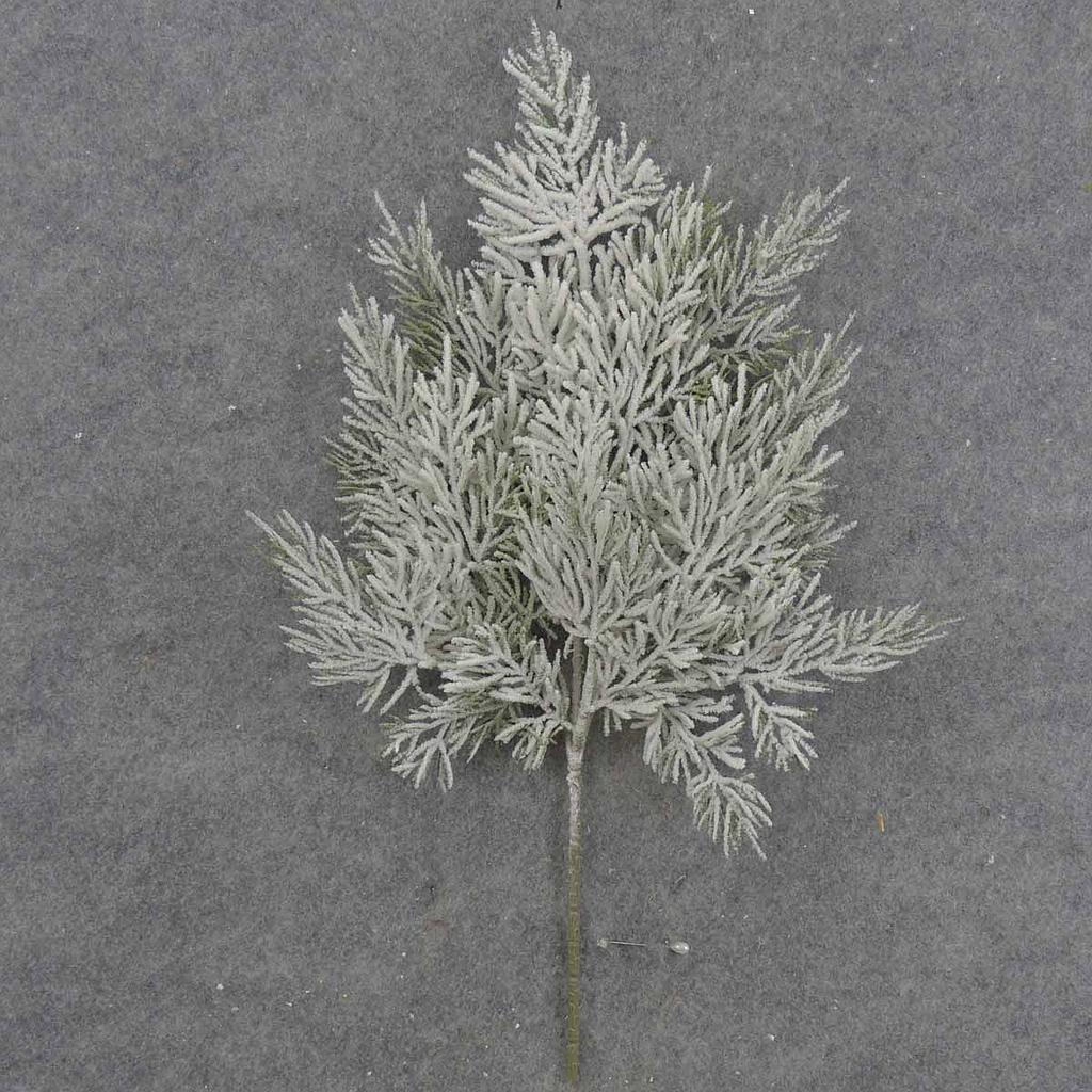 CEDAR/HEMLOCK SPRAY