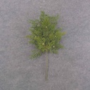 PINE/CEDAR SPRAY 20"