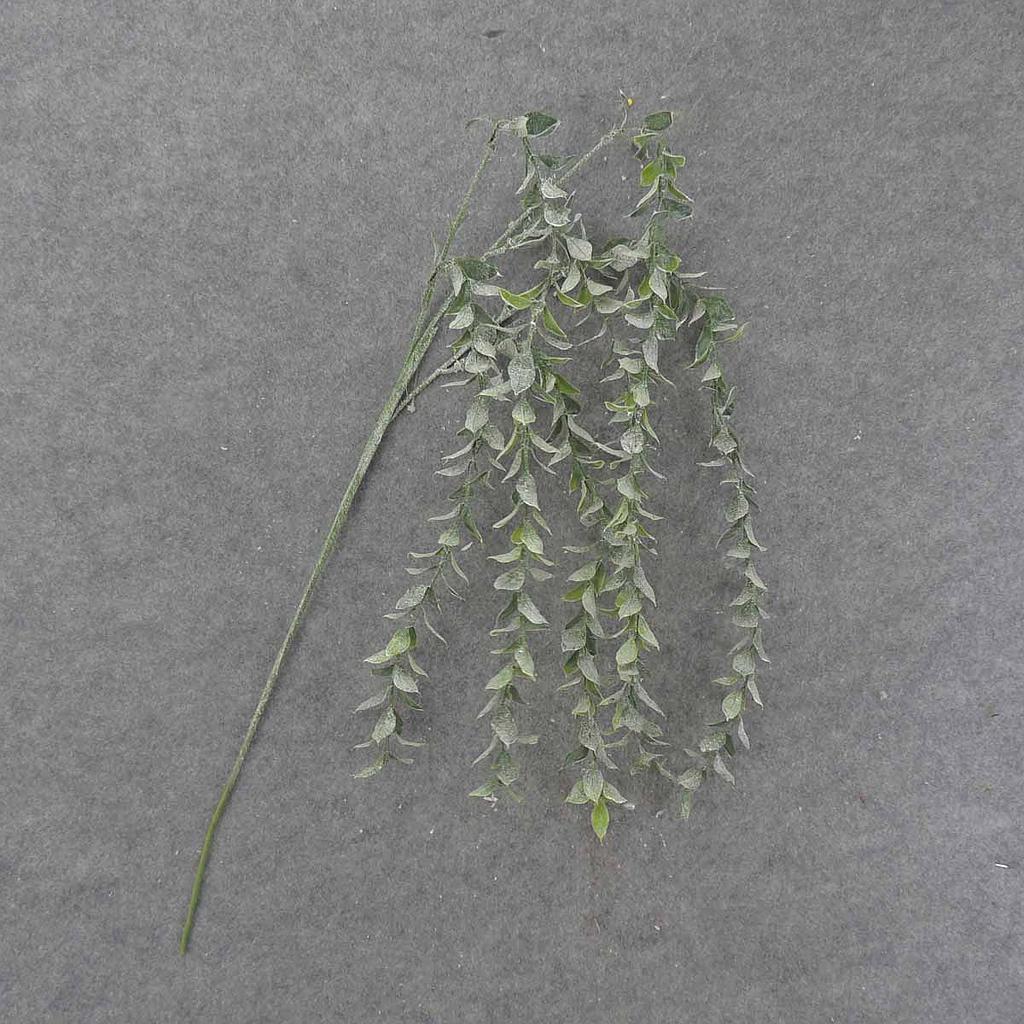 TEA LEAF SPRAY 42"