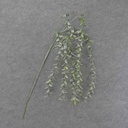 TEA LEAF SPRAY 42"