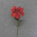 VELVET POINSETTIA STEM (7"dia) 24" W/ LEAVES RED