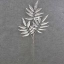 BAY LEAF SPRAY X3 26" METALLIC SILVER