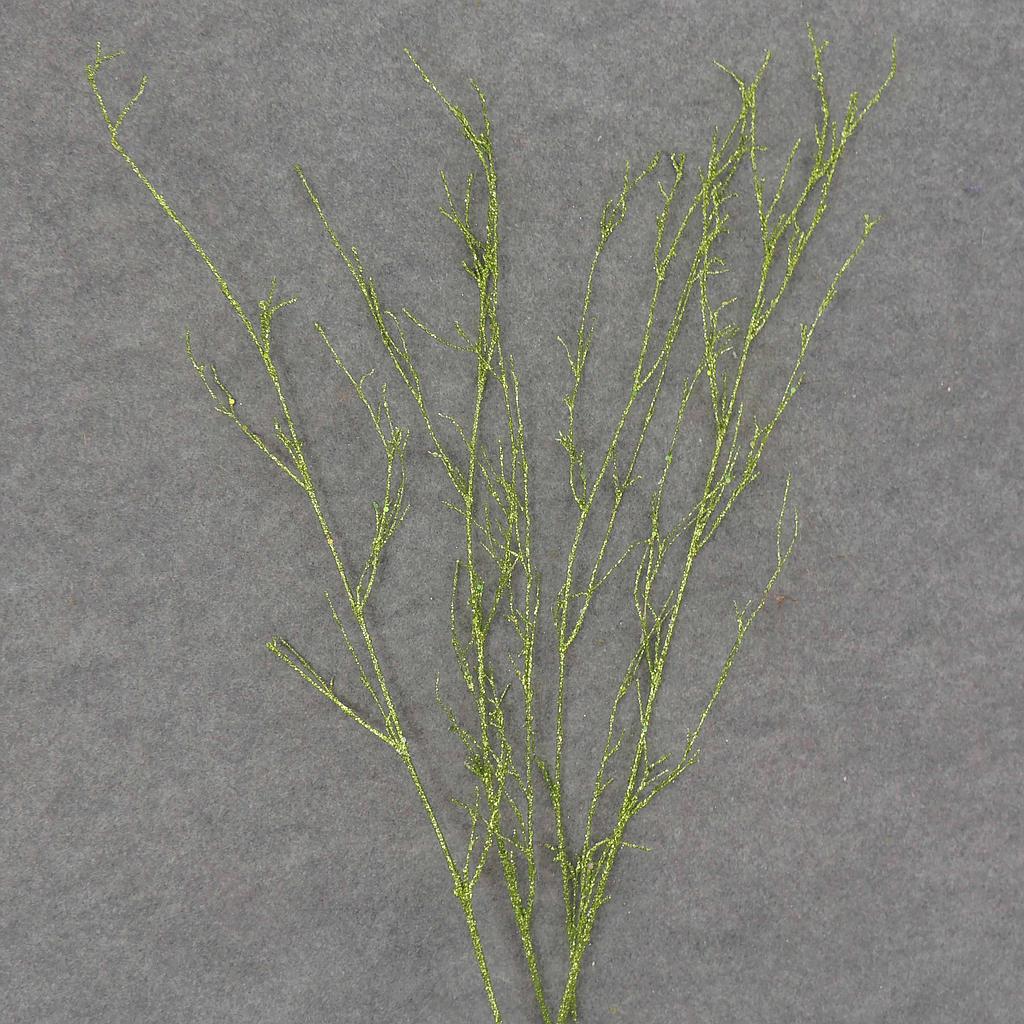 24" TWIG SPRAY W/GLITTER 4/BAG GREEN