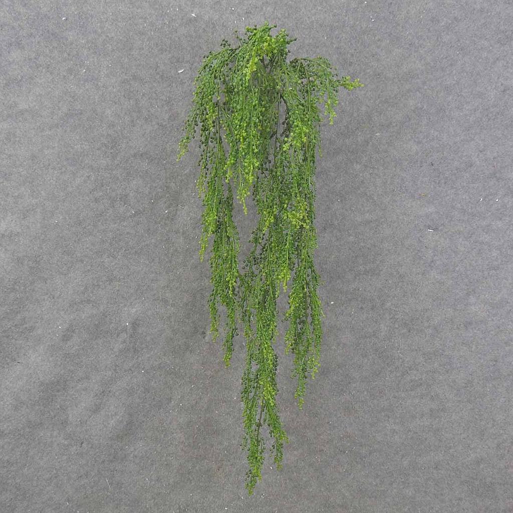 30" HANGING SEDUM VINE X4 GREEN