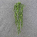 30" HANGING SEDUM VINE X4 GREEN