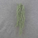 30" HANGING SEDUM VINE X4 DUSTY GREEN