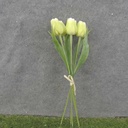17" TULIP BUNDLE X5 LIGHT GREEN (PLASTIC)
