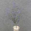 SEEDED FLOWER BUSH X9 21" PURPLE/GREEN
